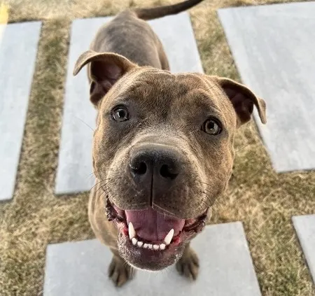 Waverly