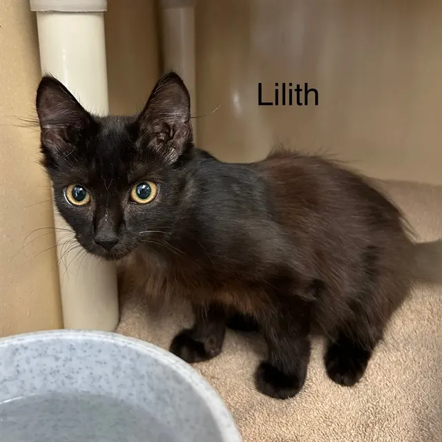 Lilith