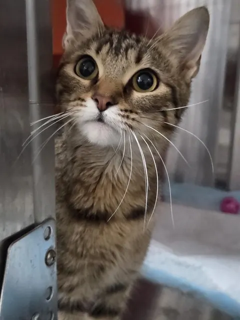 Mama Hazel