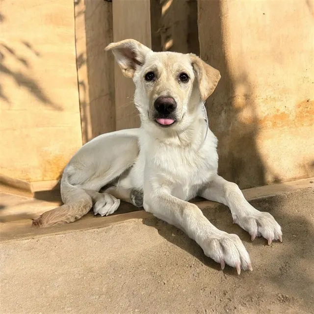 Samantha