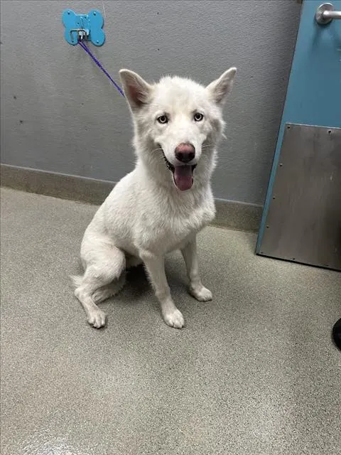 Max