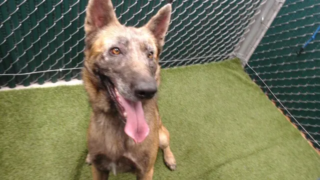 Max