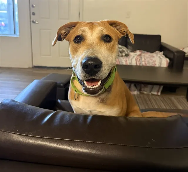 Max