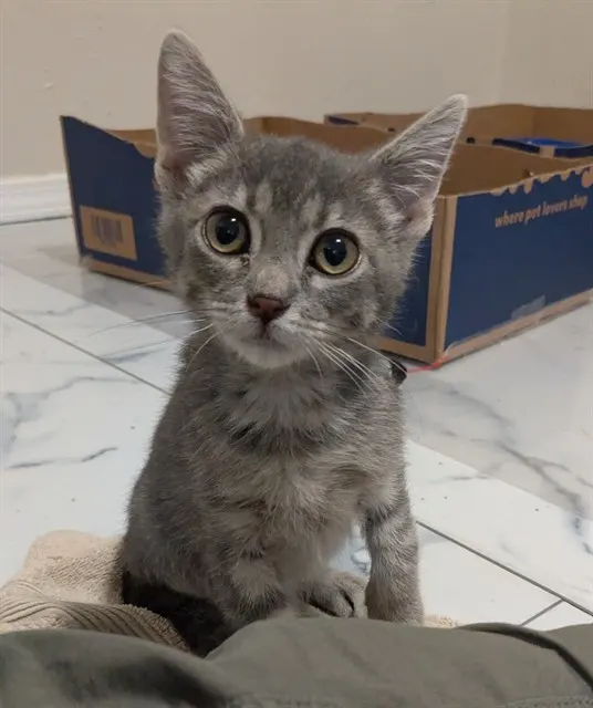 Billy