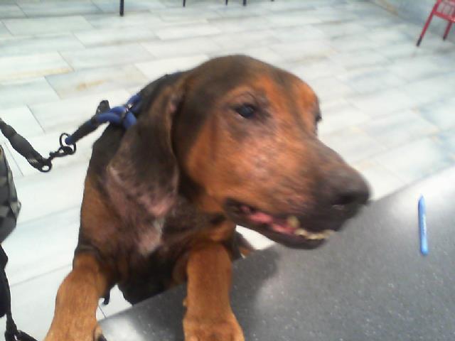 Jake