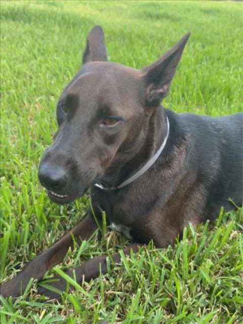 Azteca