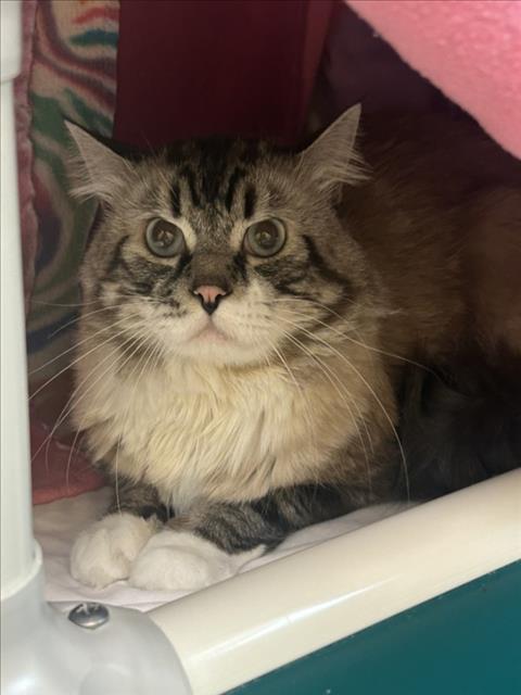 Milo