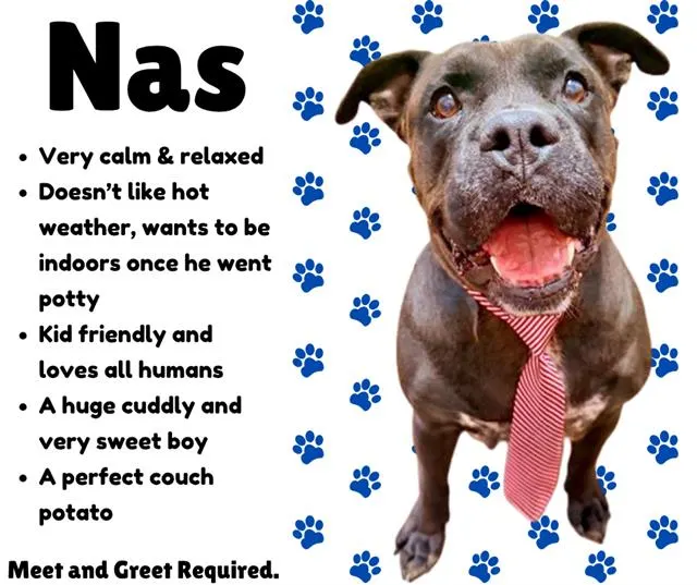 Nas