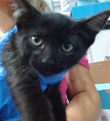 Melvin