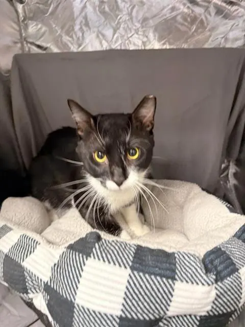 Tom
