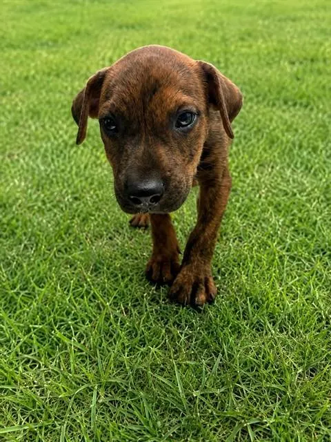 Jax