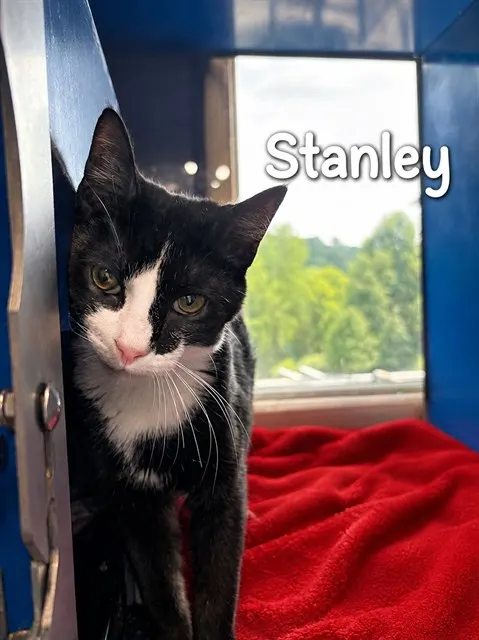 Stanley