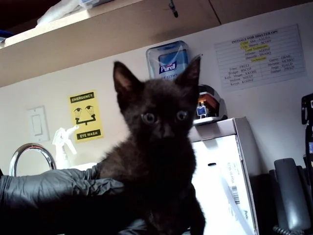 Casper