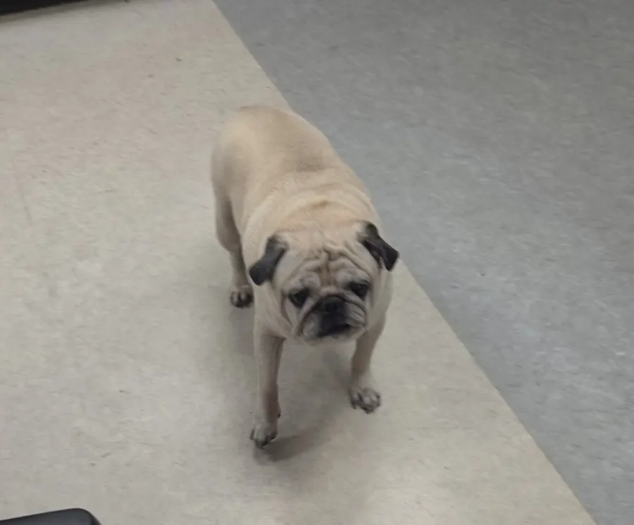 Benny