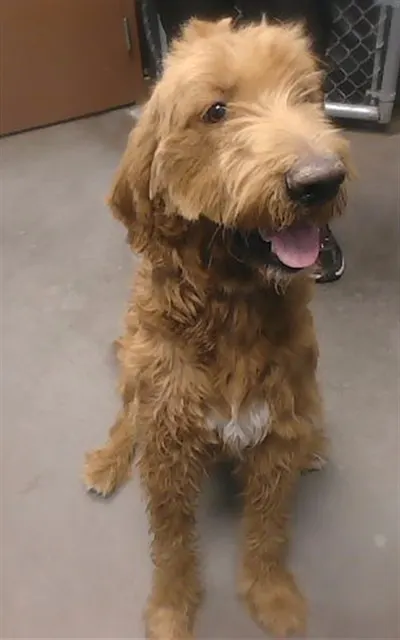 Baxter