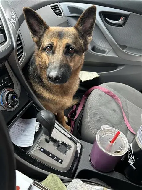 Mia