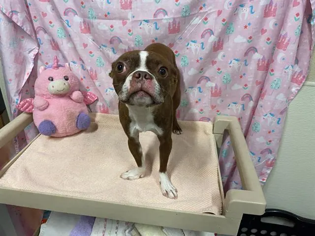 *Reggie