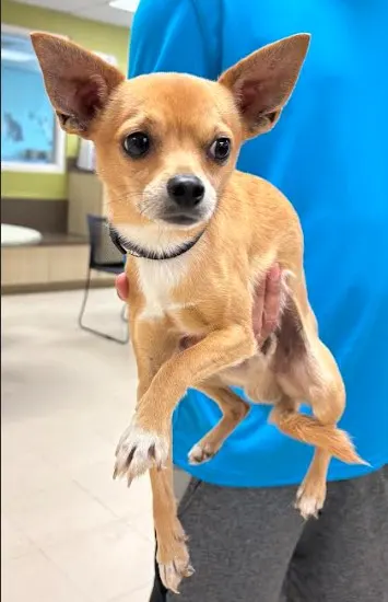 Benny