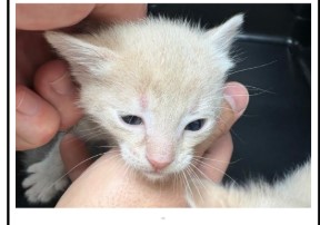Milo