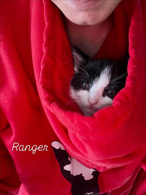 Ranger