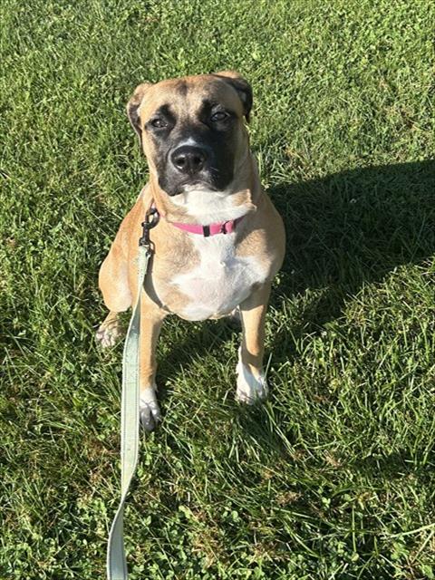 Coco