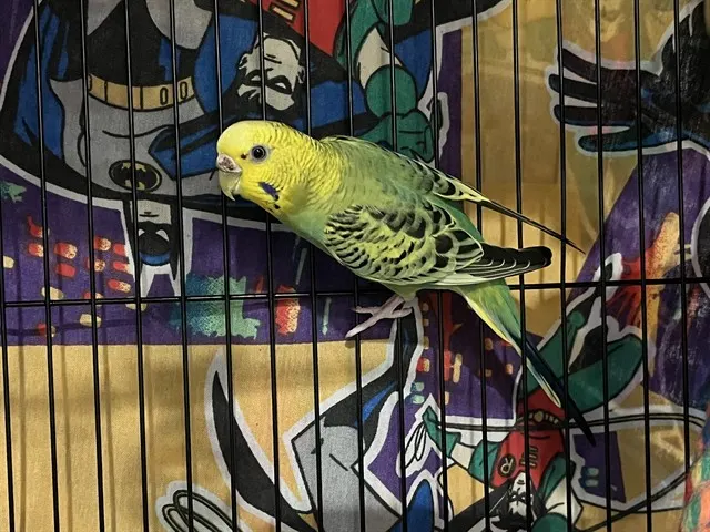 Milly