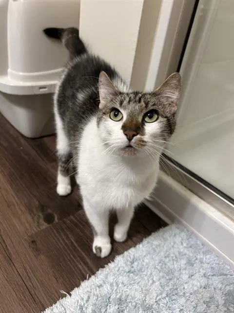 Tuna