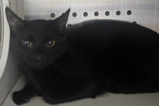 Sabrina