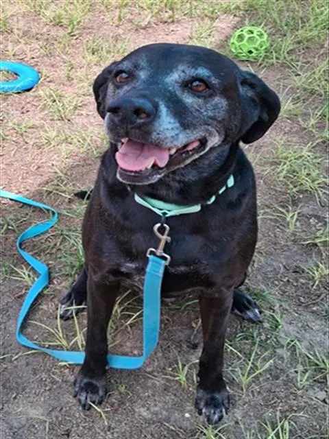 Kona