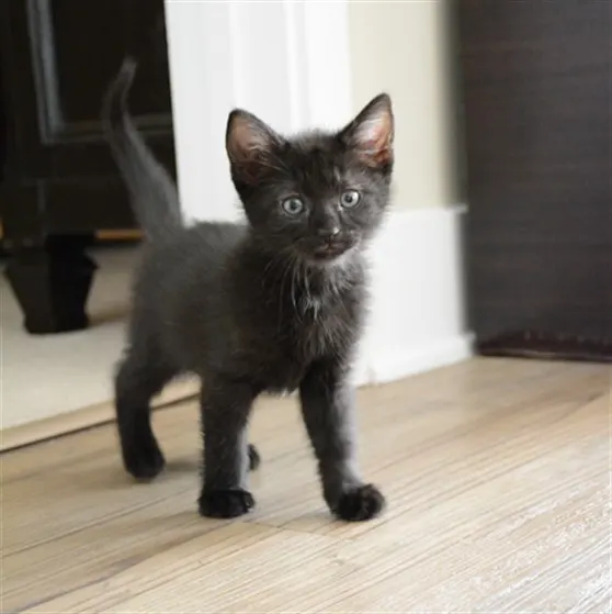 Young Zeus