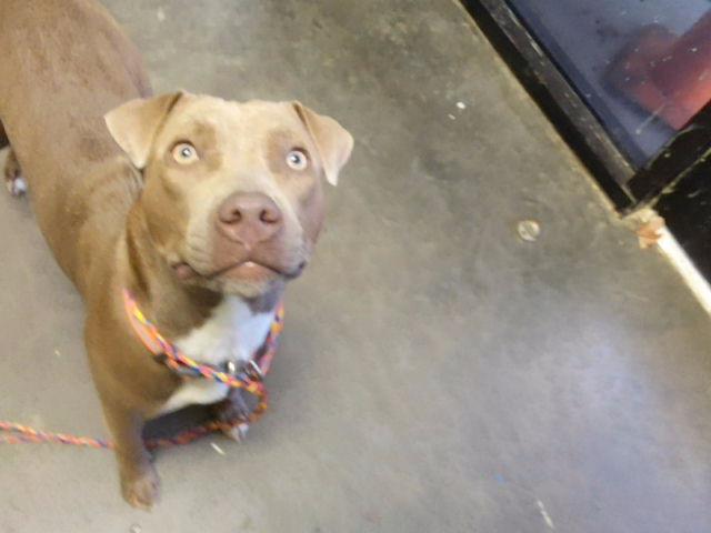 Fiona