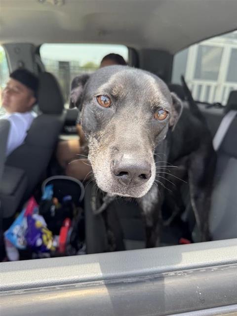 Tyson
