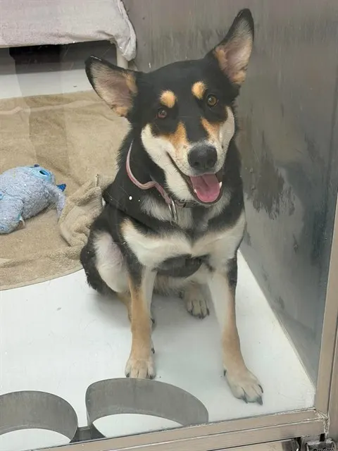 Minnie