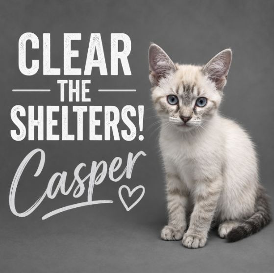 Casper