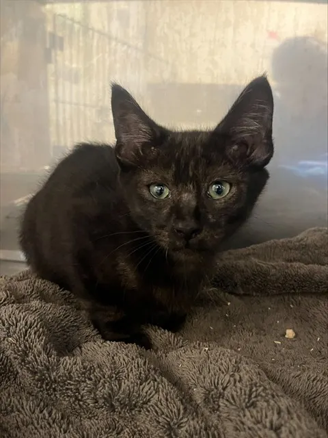 Luna