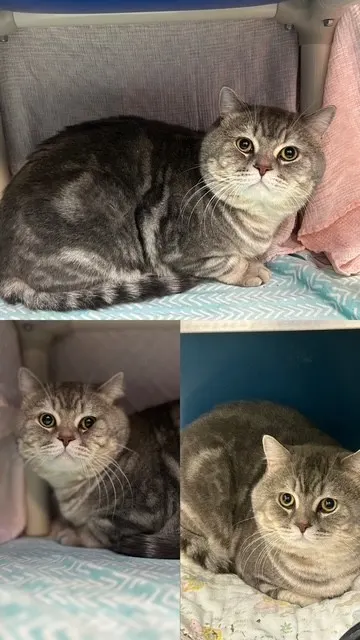 Theodore