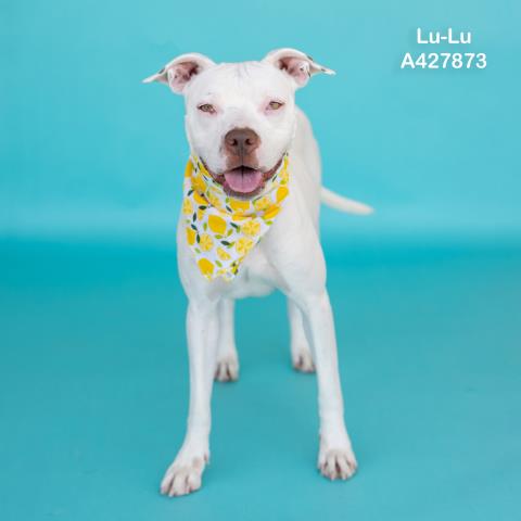 Lu-Lu