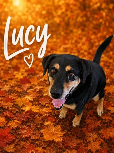 Lucy
