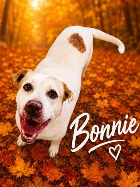 Bonnie