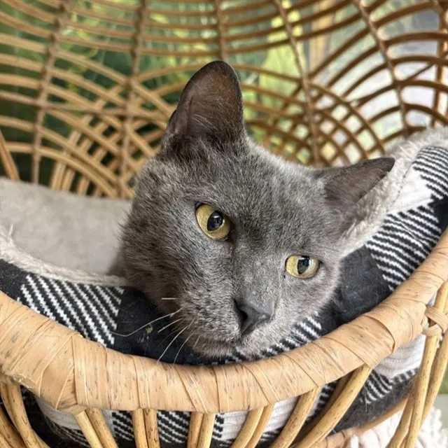 Salem
