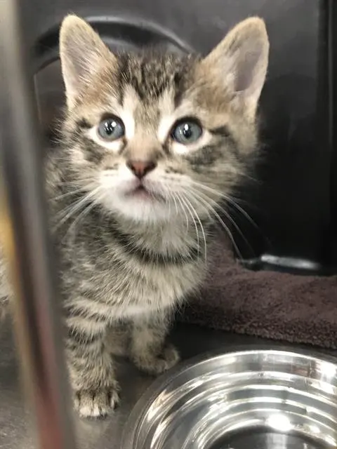 Sam