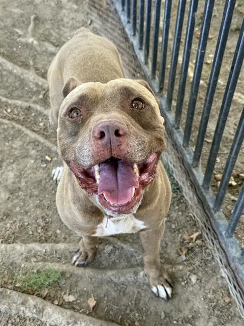 Zeus