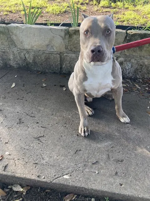 Jr