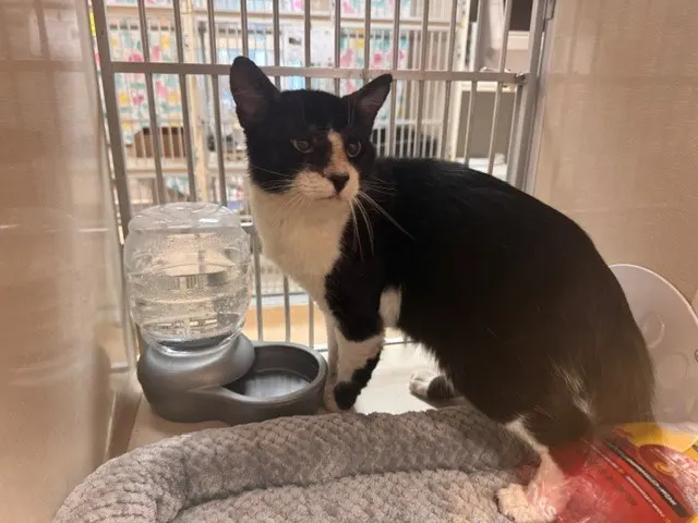 Tom