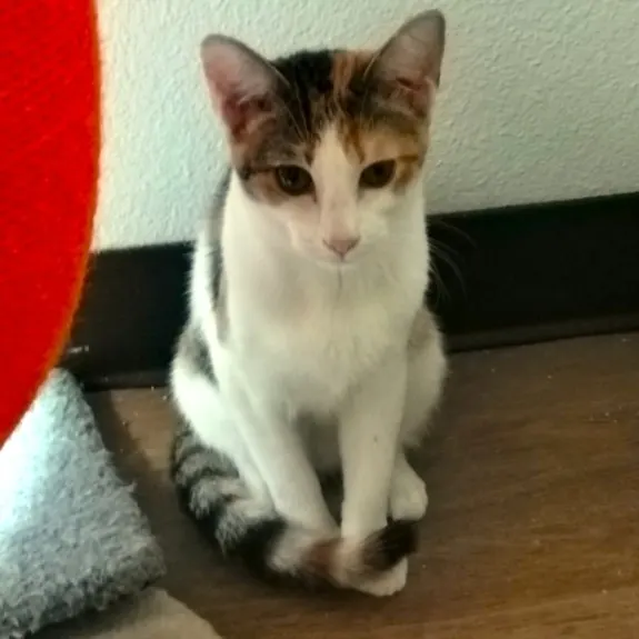 Mia