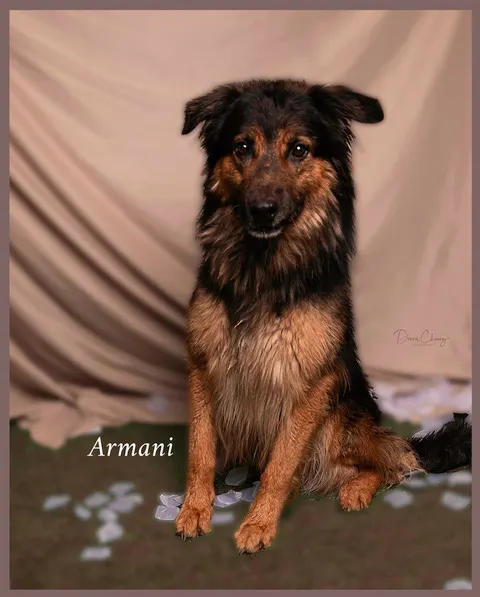 Armani