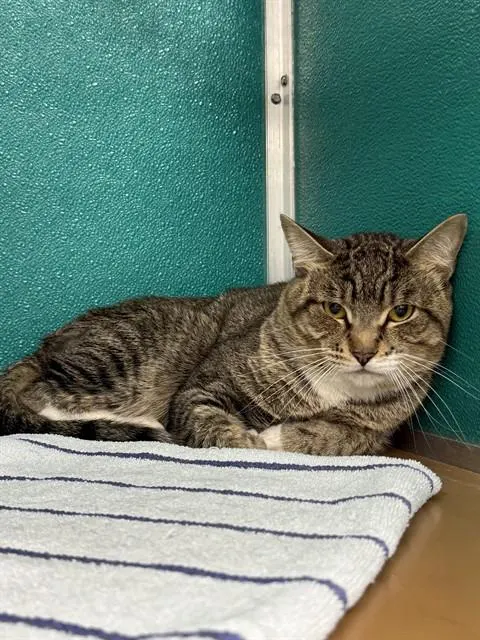 Tom