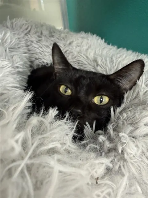 Tina