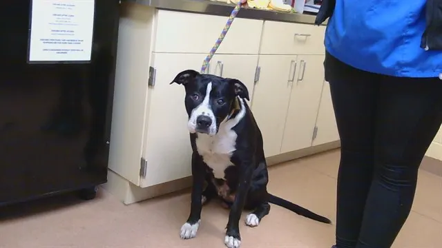 *Lucky*