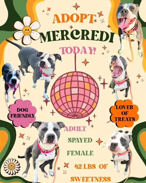 Mercredi